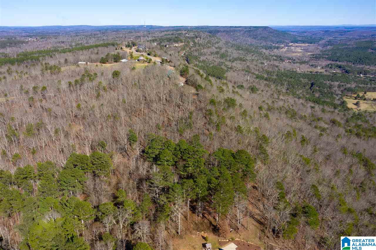 0 Drake Drive Springville, AL 35146 - Photo 1 of 23