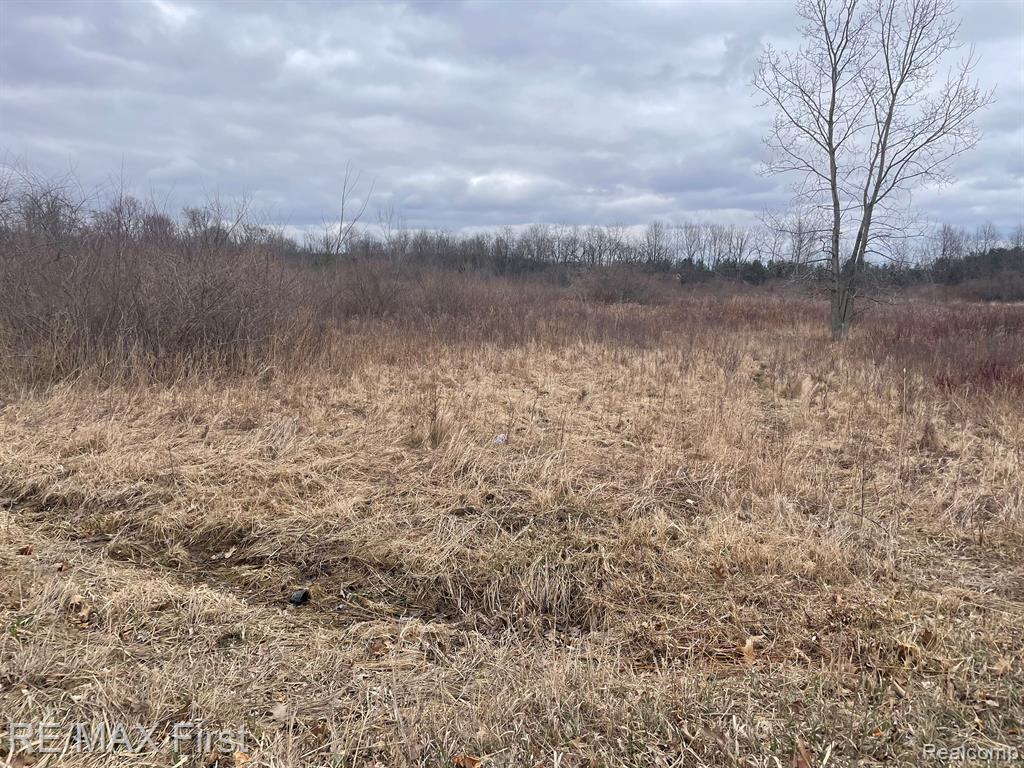 0 Brown City Road Imlay City, MI 48444 - Photo 2 of 6 Gallery Image 2