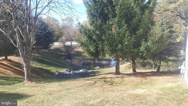 a view of a yard with a tree