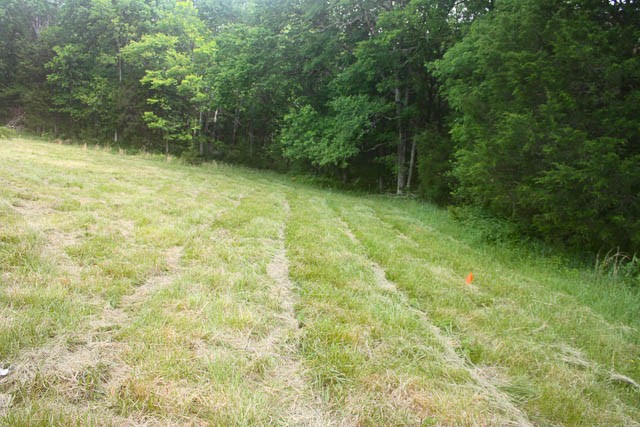 4793 Joe Peay Road Spring Hill, TN 37174 - Photo 18 of 22 Gallery Image 18