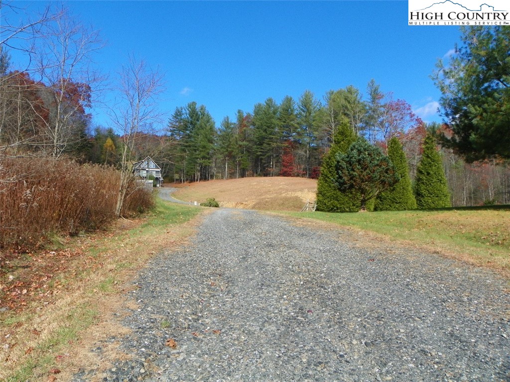 Prairie View Lane Fleetwood, NC 28626 - Photo 3 of 10 a view of a yard with a tree