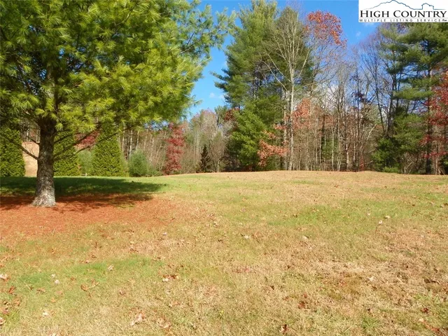 a view of a backyard with large trees
