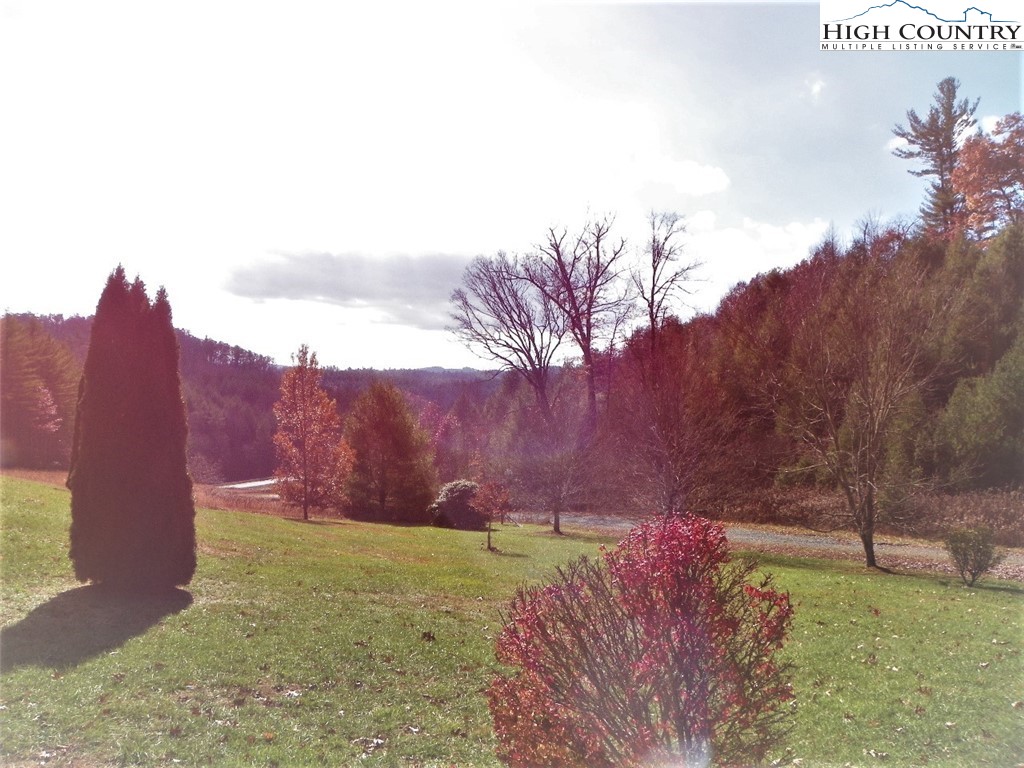 Prairie View Lane Fleetwood, NC 28626 - Photo 6 of 10 a view of a backyard with large trees