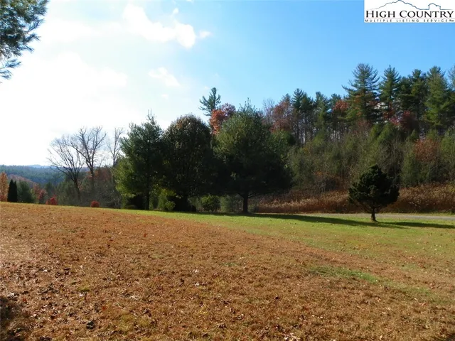 a view of backyard with swimming pool
