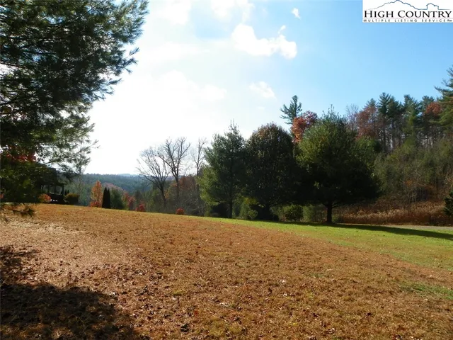 a view of a field with a tree in the background