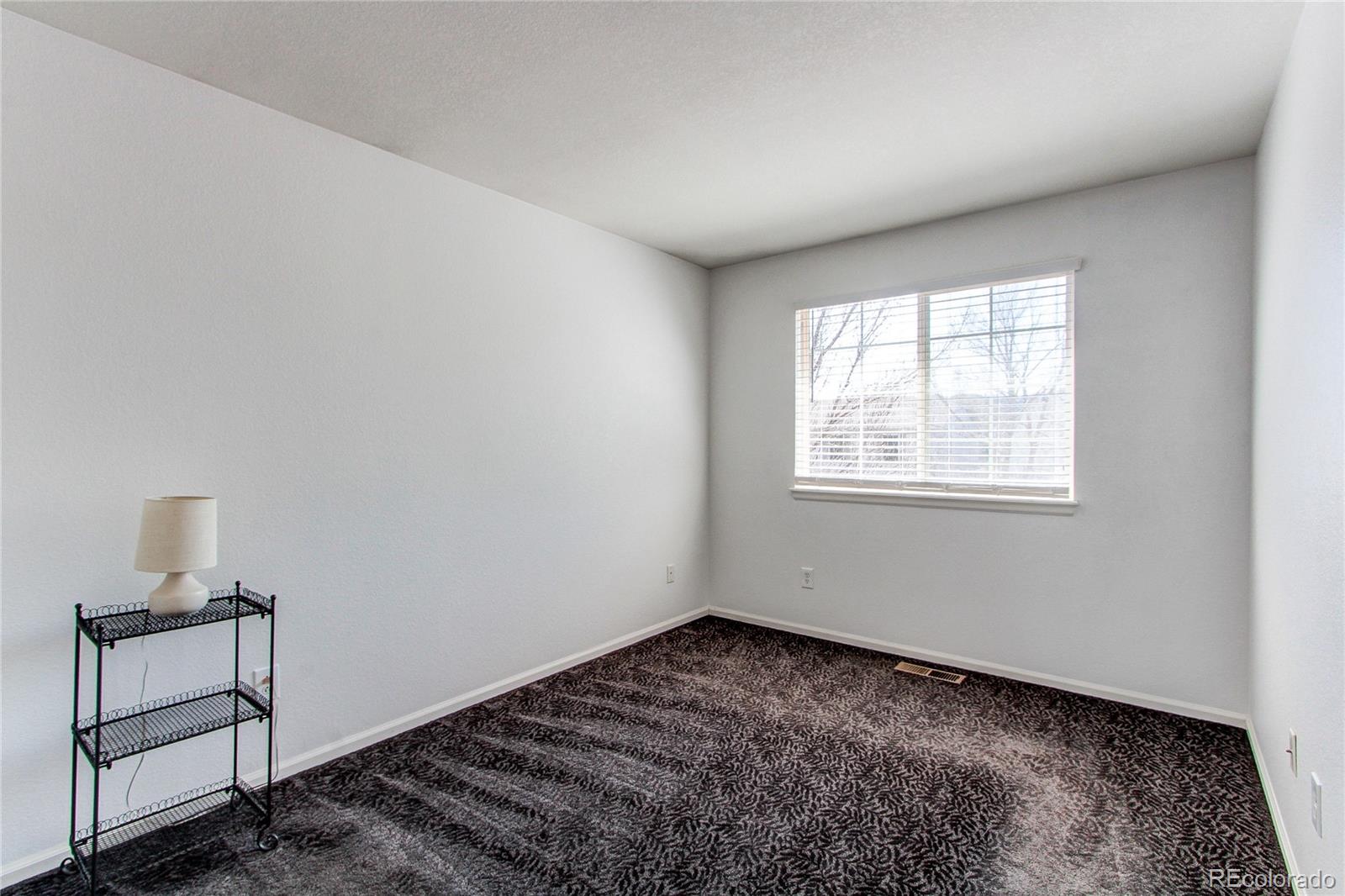 10486 Cheetah Winds Lone Tree, CO 80124 - Photo 27 of 45