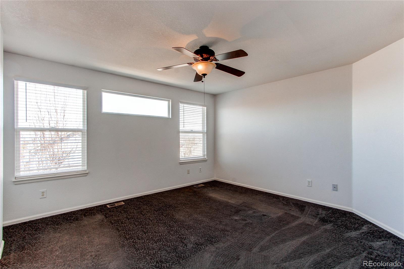 10486 Cheetah Winds Lone Tree, CO 80124 - Photo 31 of 45