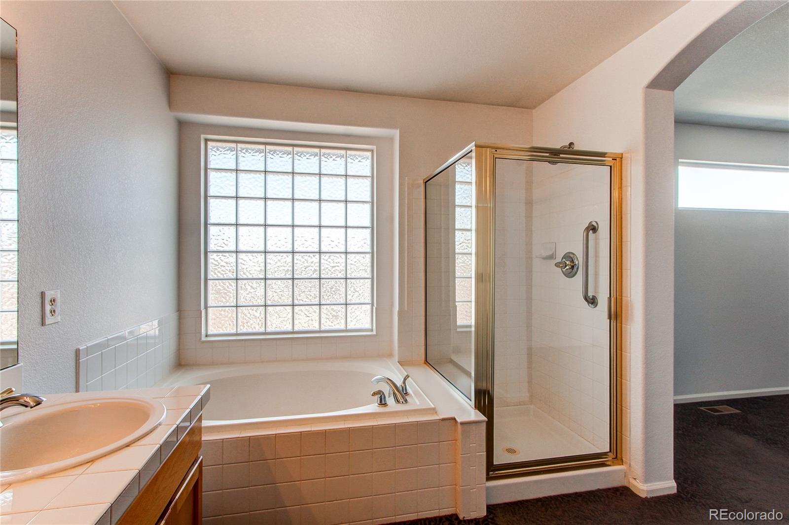 10486 Cheetah Winds Lone Tree, CO 80124 - Photo 36 of 45