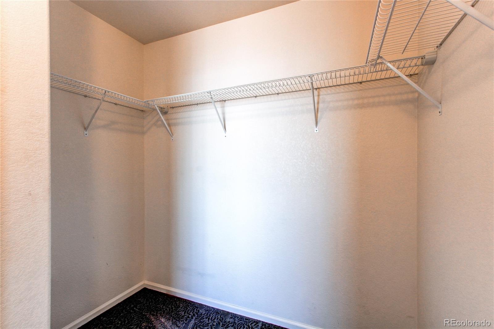 10486 Cheetah Winds Lone Tree, CO 80124 - Photo 37 of 45