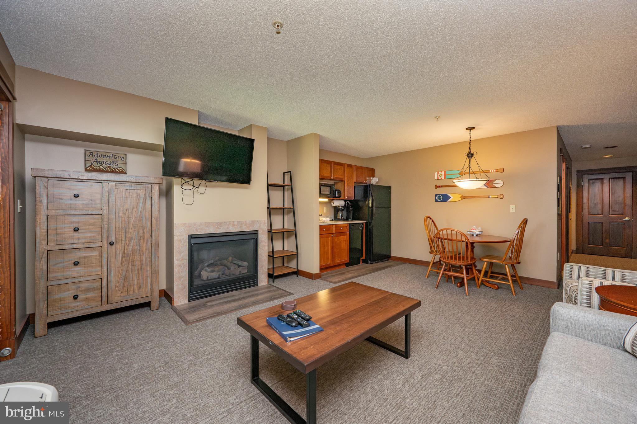 565 Glendale Road, Unit 103B Oakland, MD 21550 - Photo 12 of 53 a living room with furniture a flat screen tv and a fireplace
