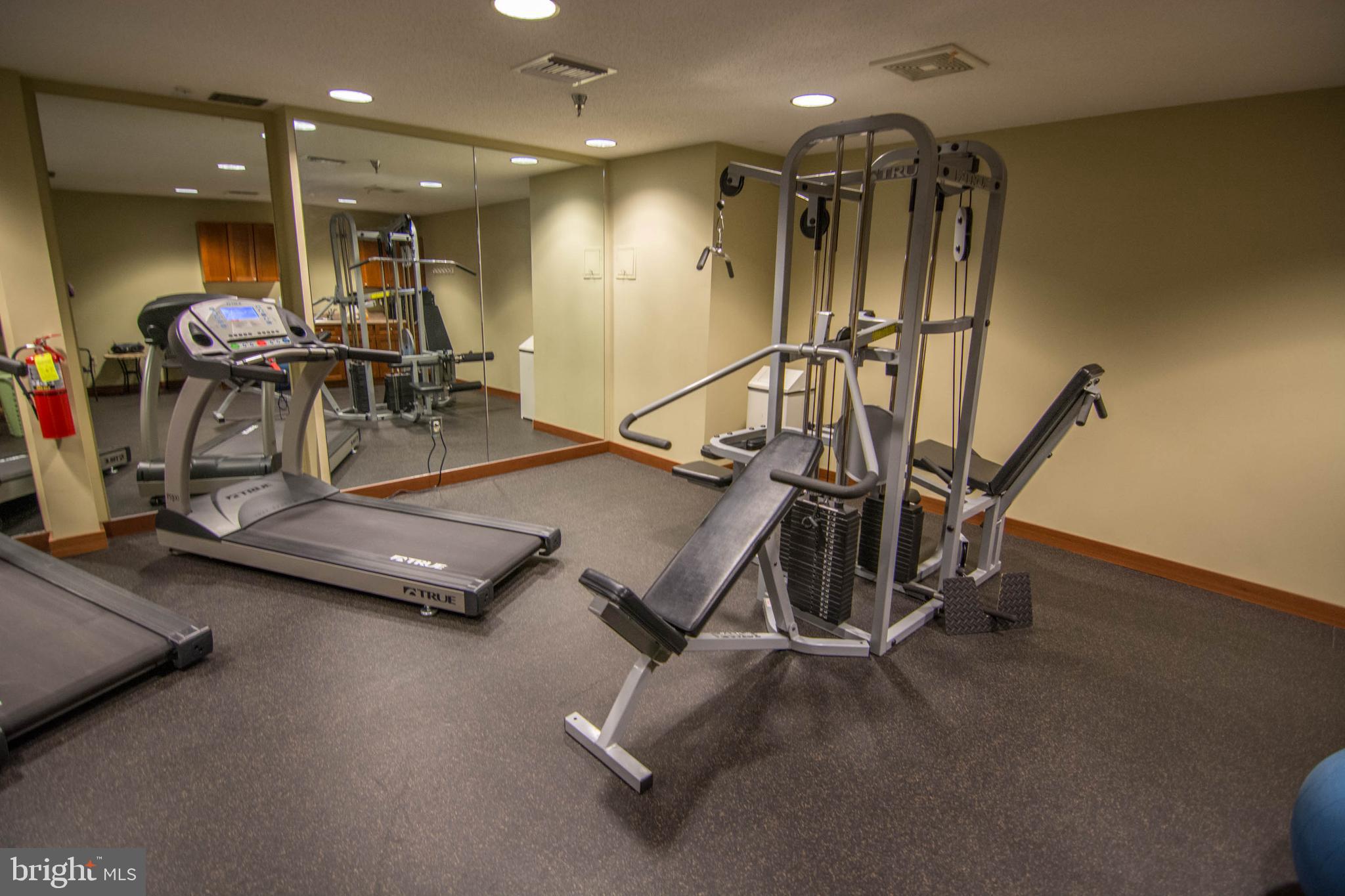 565 Glendale Road, Unit 103B Oakland, MD 21550 - Photo 25 of 53 a room with gym equipment and a table
