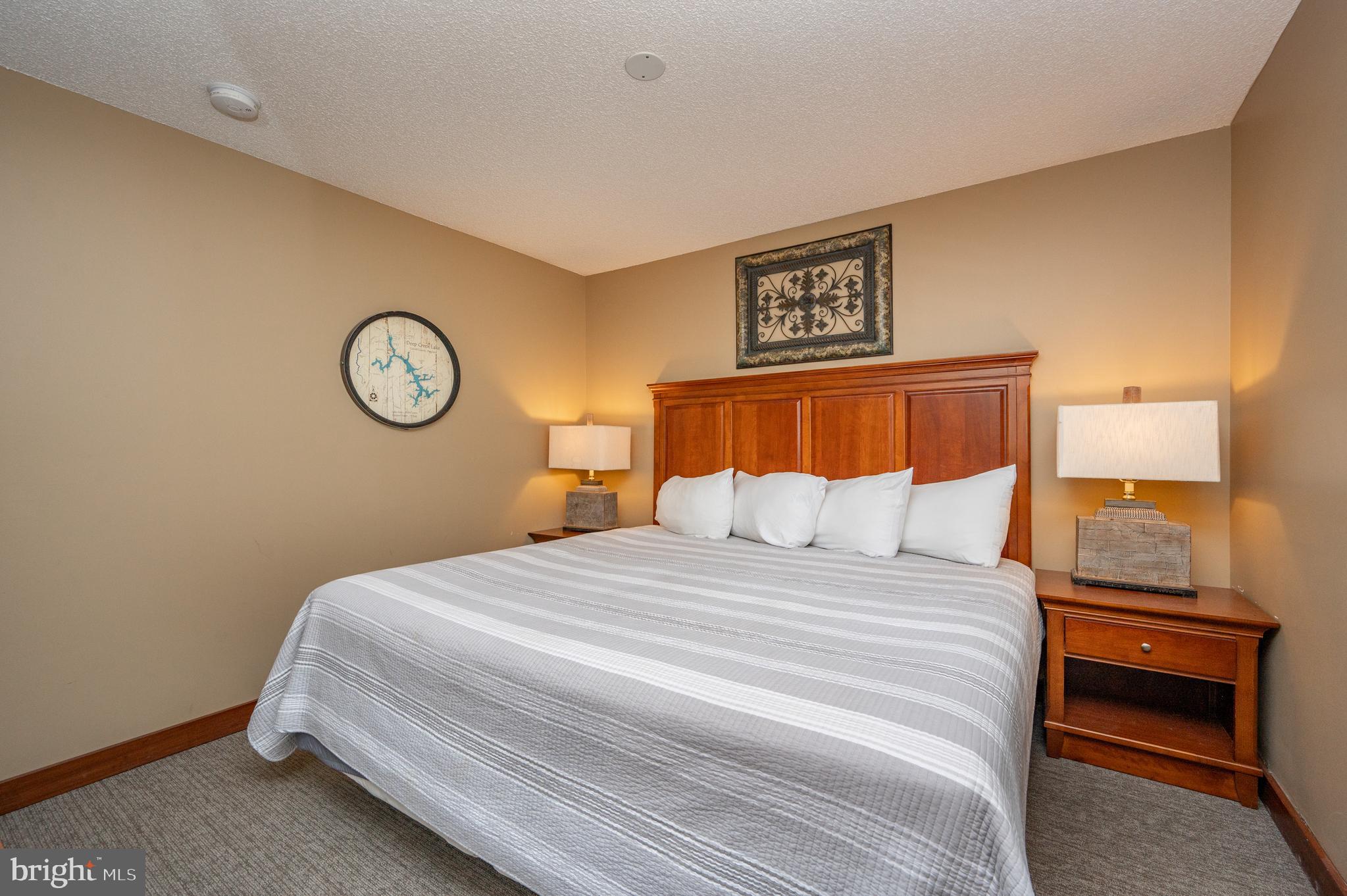 565 Glendale Road, Unit 103B Oakland, MD 21550 - Photo 5 of 53 a bedroom with a bed and a chandelier