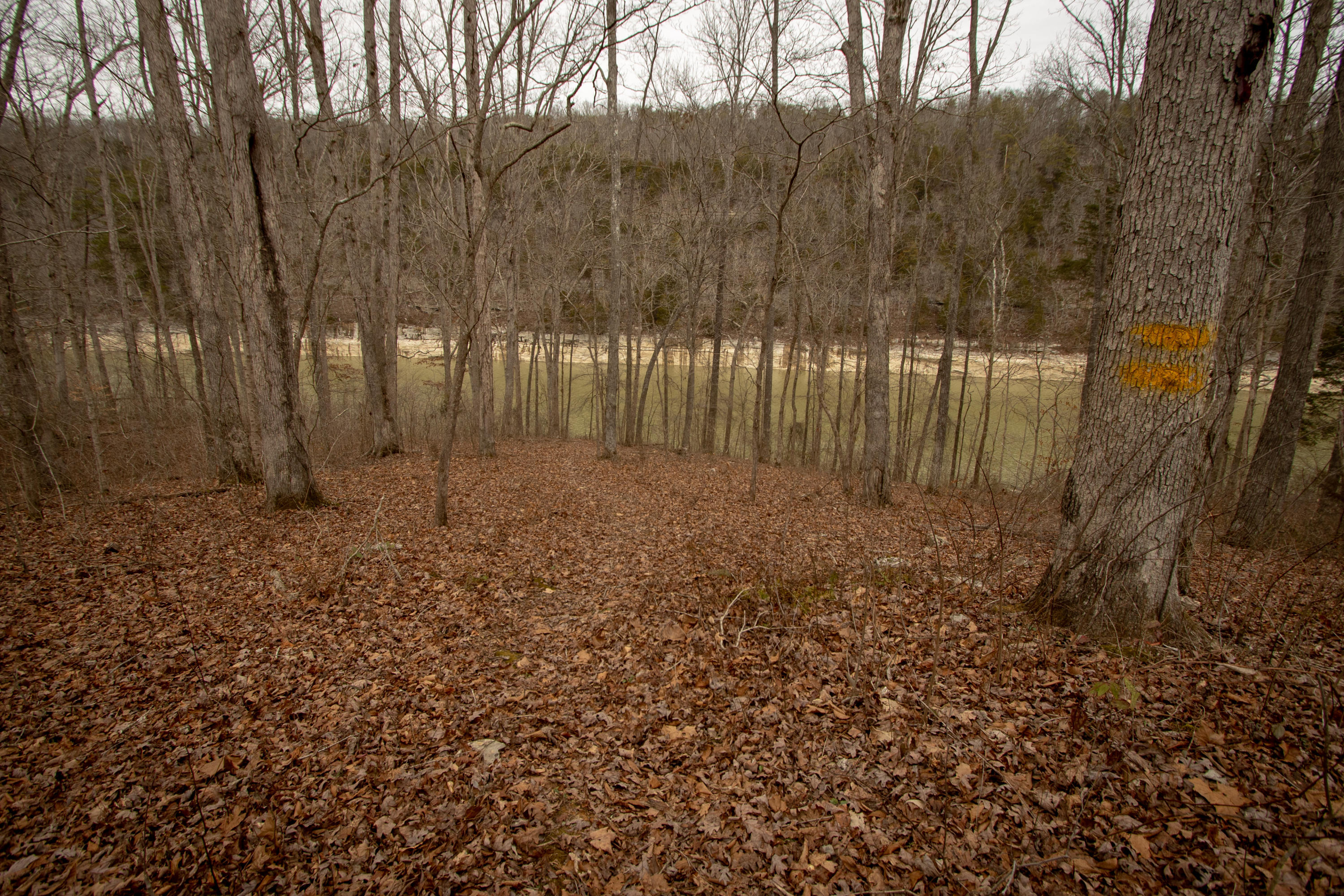 2668 Roberts Bend Road Burnside, KY 42519 - Photo 66 of 66 pulliam-6228