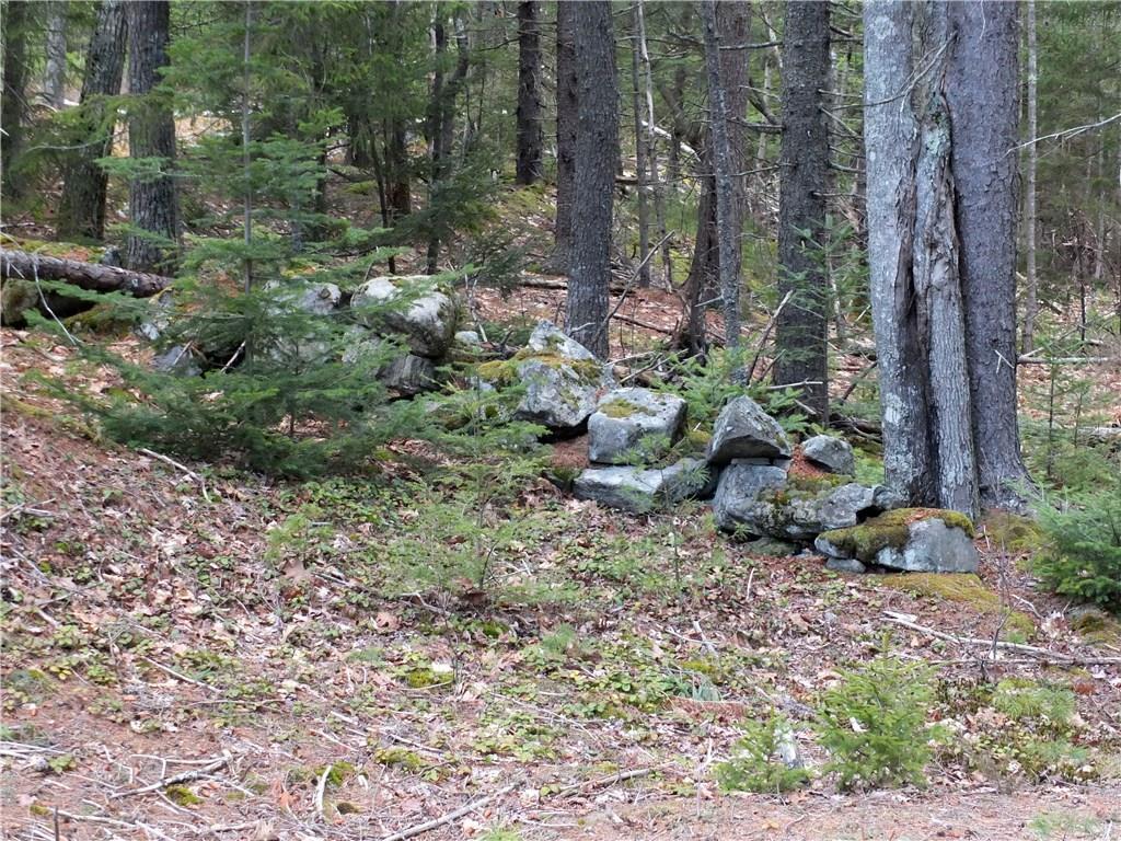 15 Valley Road Boothbay, ME 04537 - Photo 34 of 34 Old stone wall at rear of property.