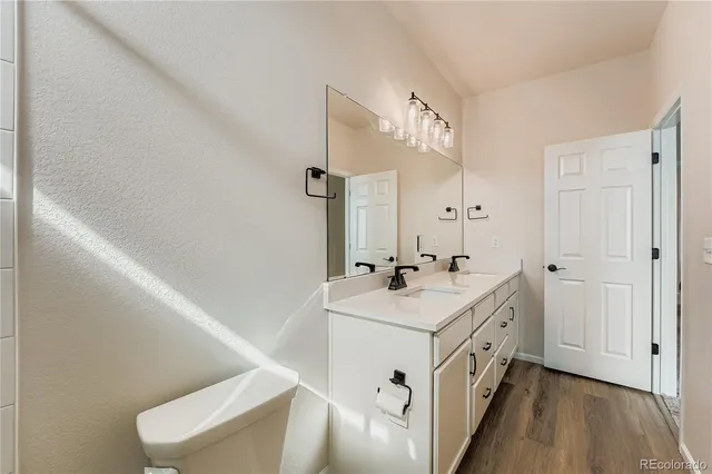 a bathroom with a sink a toilet and mirror