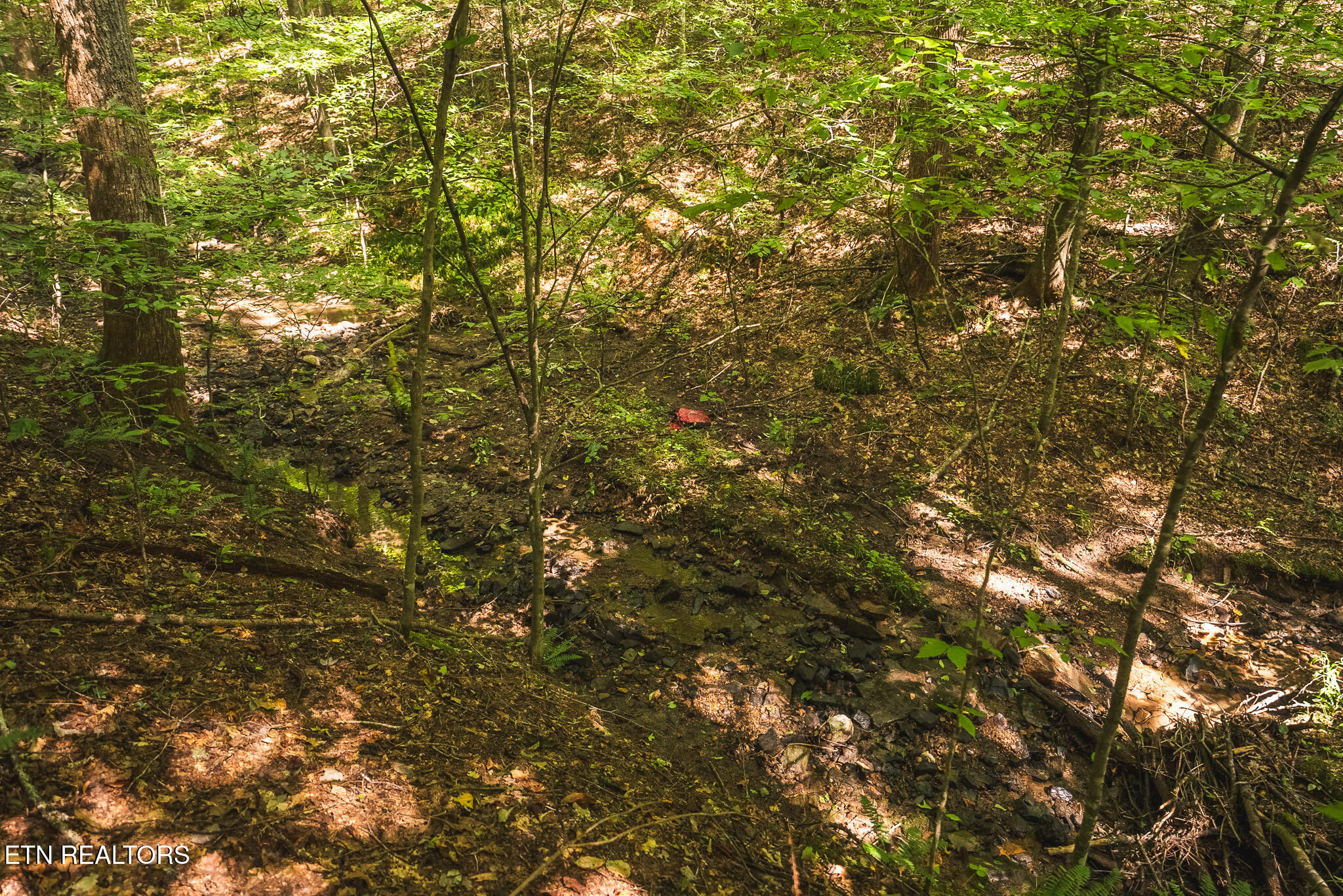 Watson Hollow Road Speedwell, TN 37870 - Photo 34 of 37 DSC03647