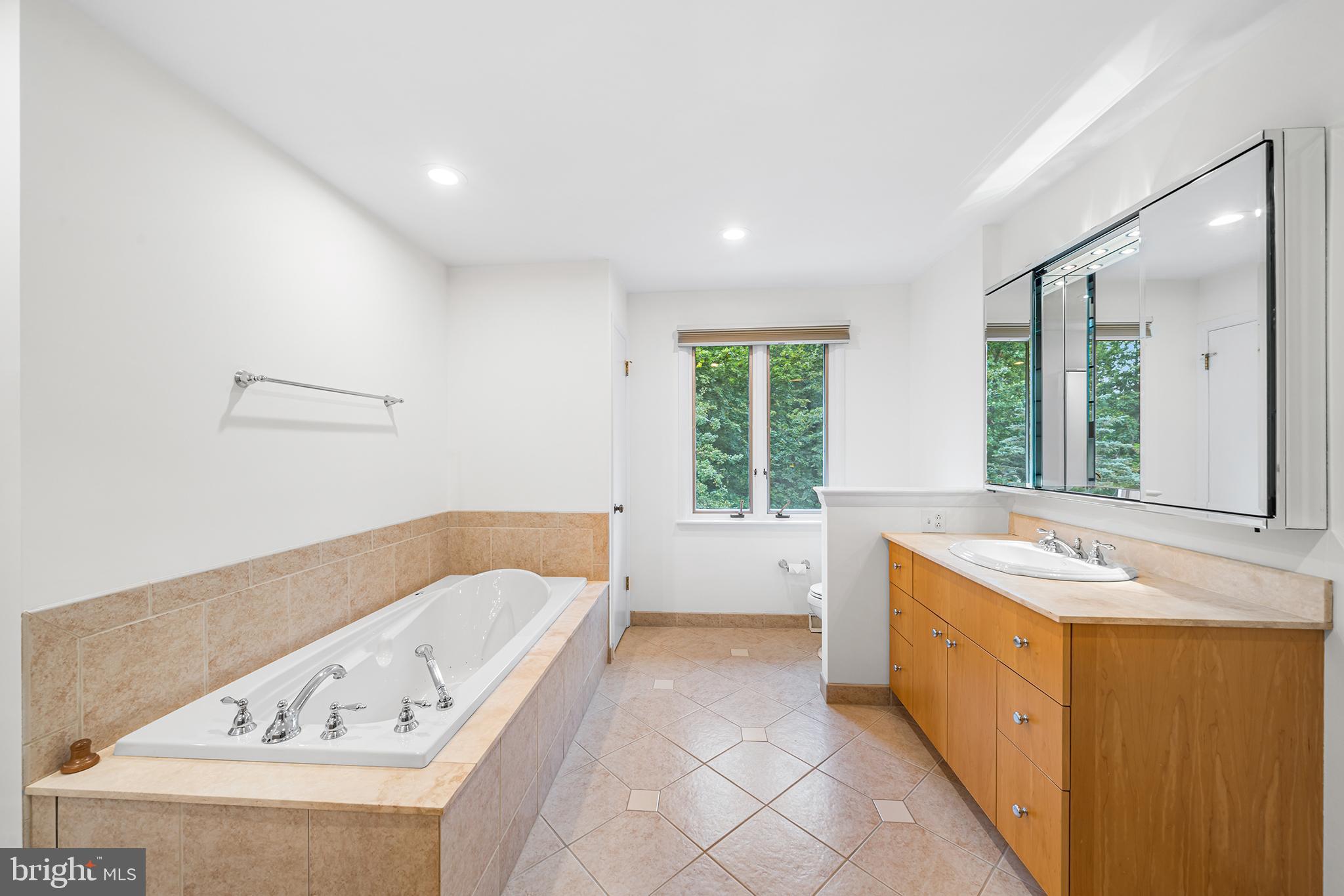 204 French Road Newtown Square, PA 19073 - Photo 20 of 36 a bathroom with a tub sink and mirror
