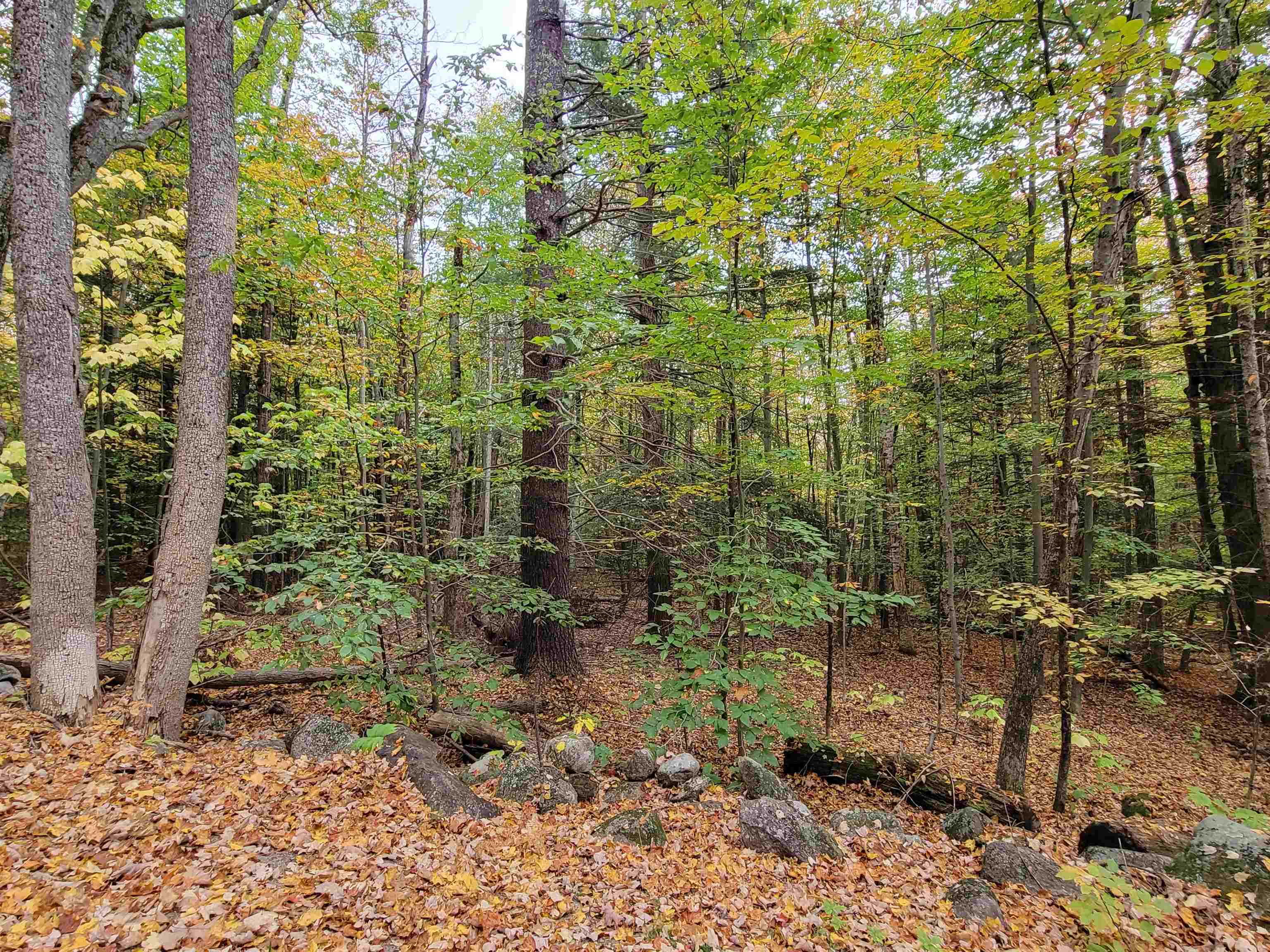 49 F Maple Ridge Road, Unit R 8 49F Sandwich, NH 03259 - Photo 8 of 24