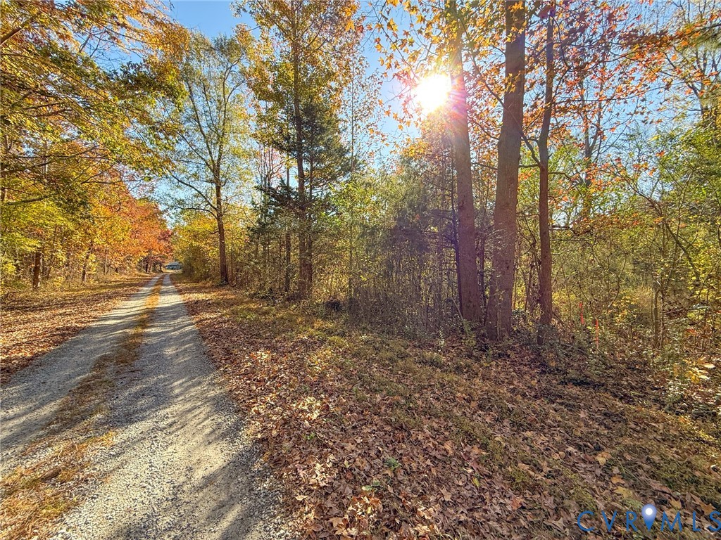a view of open space with trees