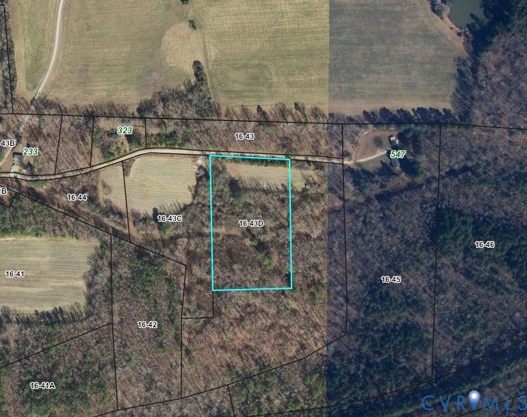 400 Lovely Zion Road Rawlings, VA 23876 - Photo 2 of 6 a picture of a tree