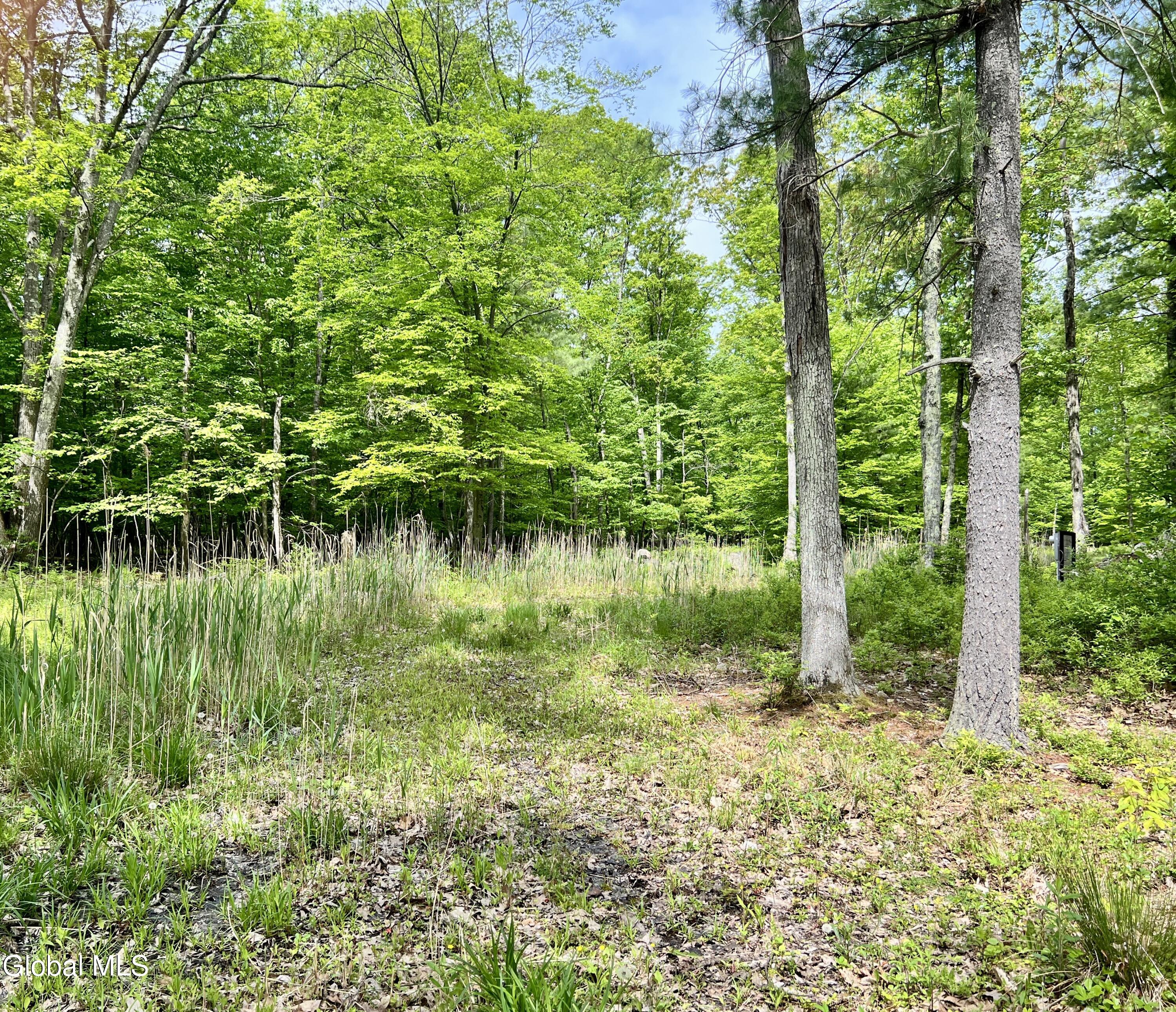 25 Catlin Road Poestenkill, NY 12018 - Photo 5 of 14 IMG_8982