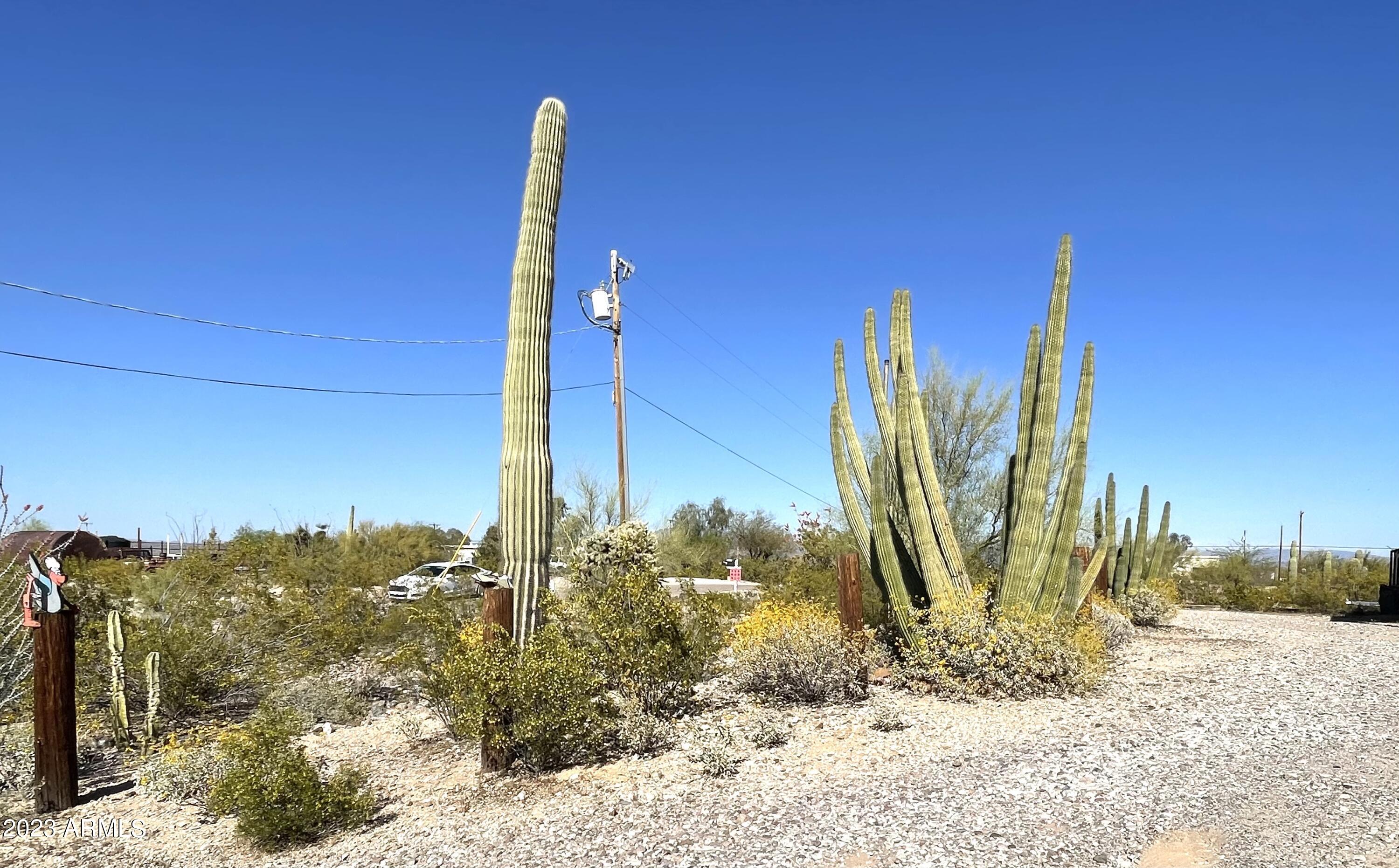 1039 West Nelson Road Ajo, AZ 85321 - Photo 6 of 16 Nelson front yard drive