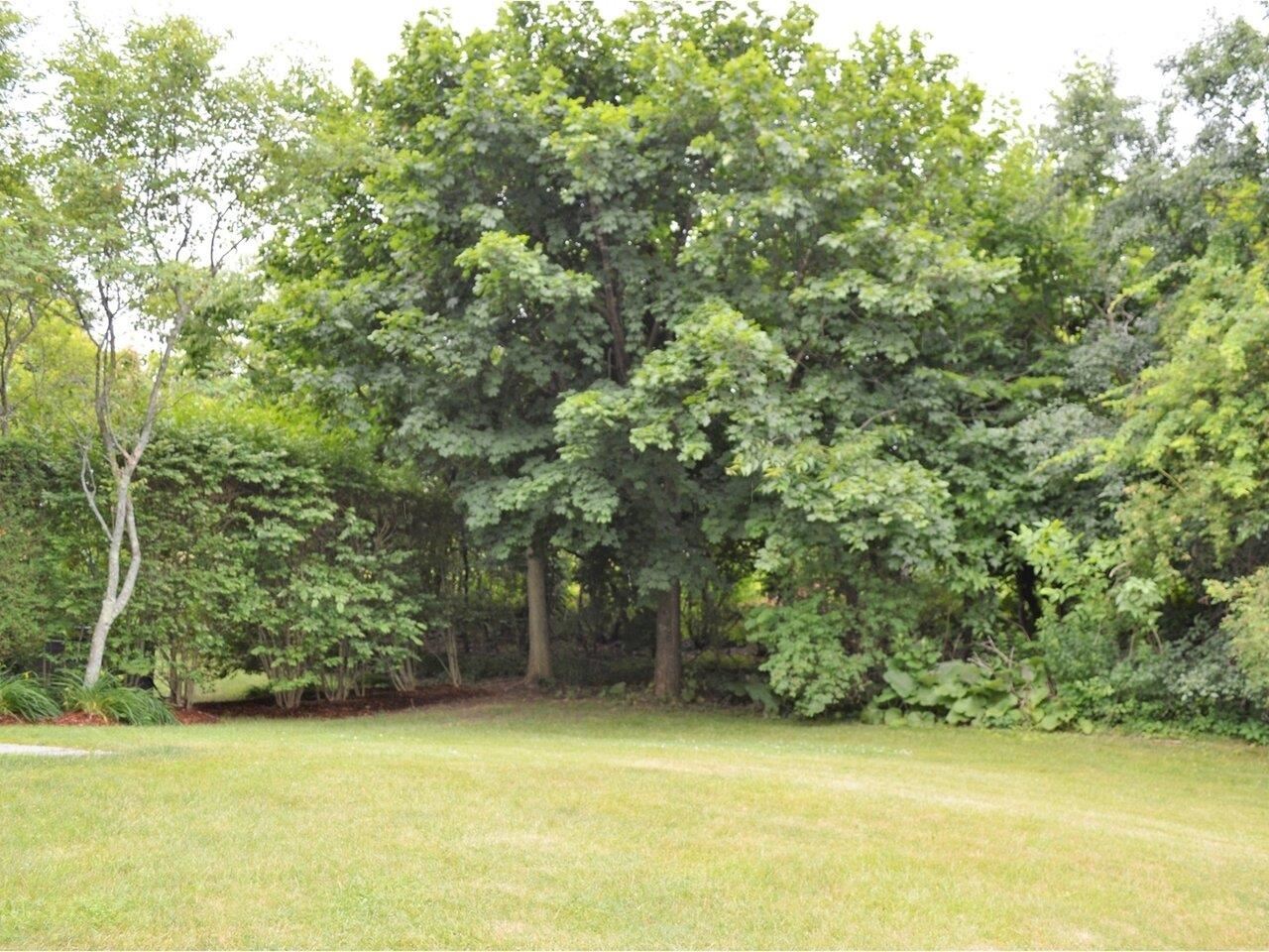 191 Park Road South Burlington, VT 05403 - Photo 34 of 38 Gallery Image 34