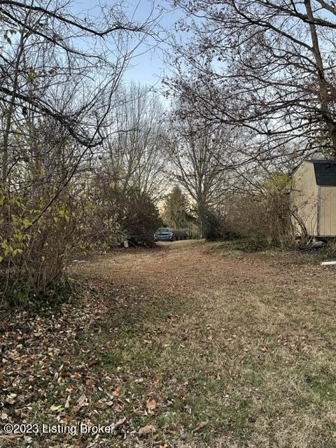 4860 Keene Road Lexington, KY 40513 - Photo 6 of 8 side yard by driveway