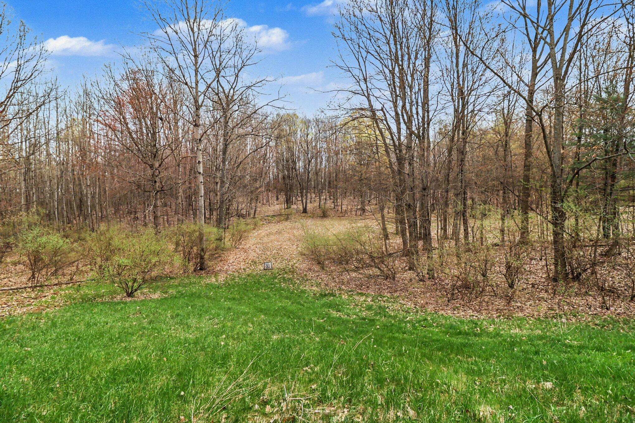 7415 East Anthony Road Branch, MI 49402 - Photo 35 of 99 036_file_3732