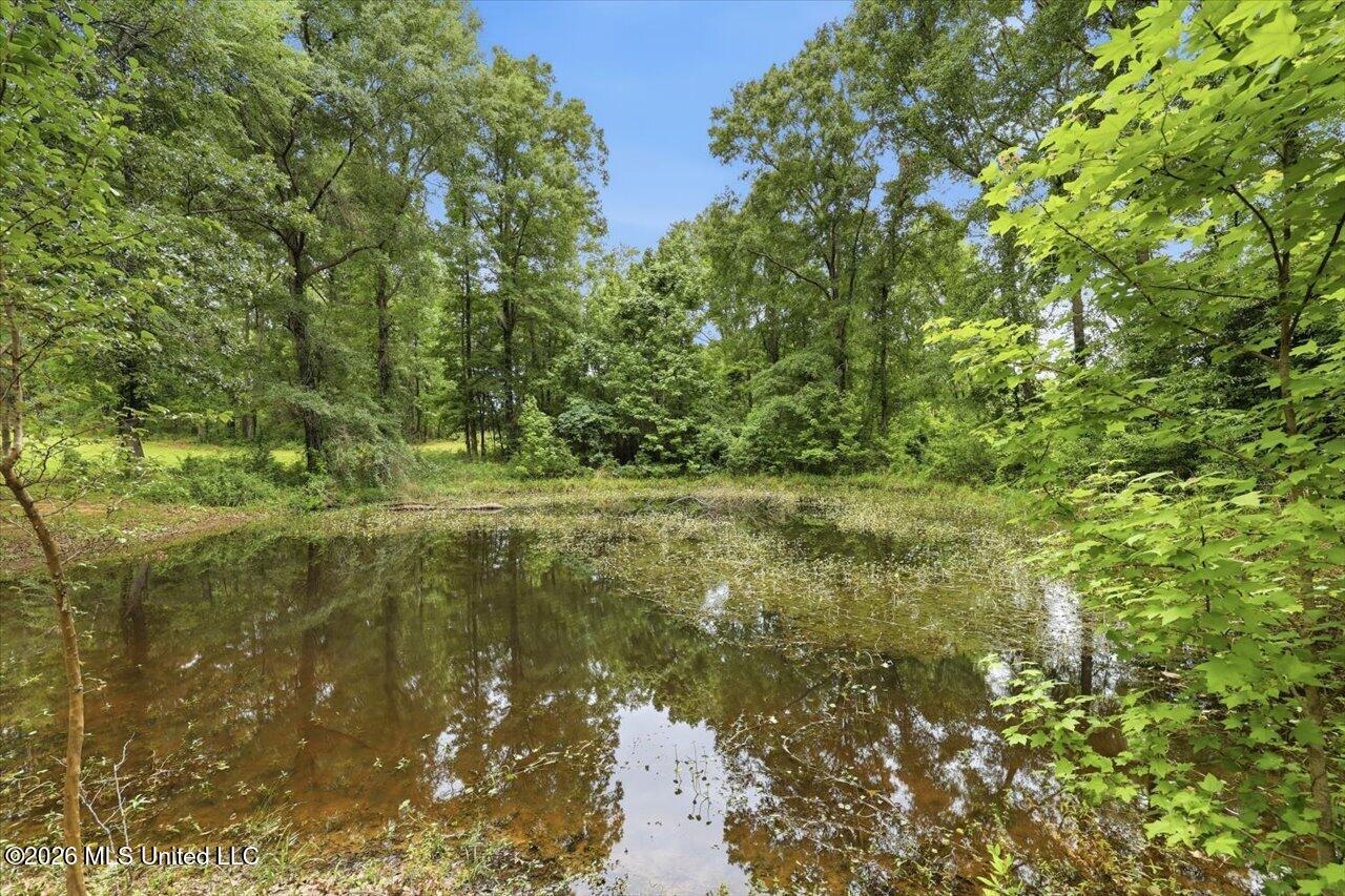 1130 Lyons Road Bolton, MS 39041 - Photo 36 of 50 36-1130 Lyons Rd _ Hometoursms.com