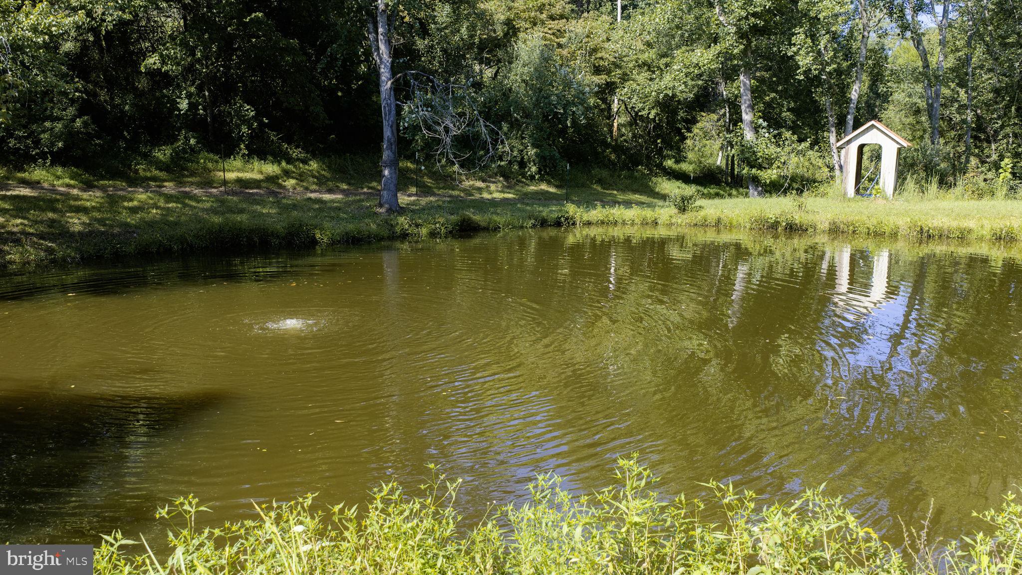 65 Dennis Road Castleton, VA 22716 - Photo 67 of 83 Aerator for the Pond