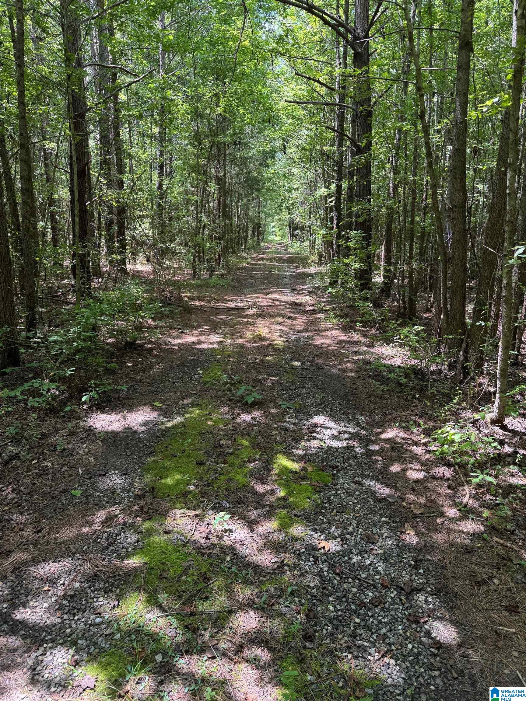 775 Concord Church Road, Unit 301 02 AC Talladega, AL 35160 - Photo 1 of 14