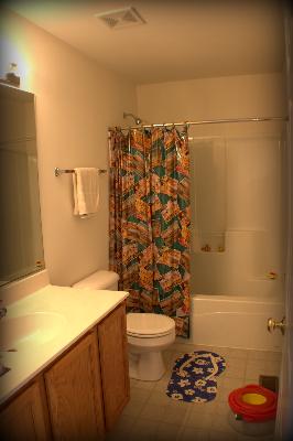 620 Declaration Lane, Unit 620 Aurora, IL 60502 - Photo 12 of 15