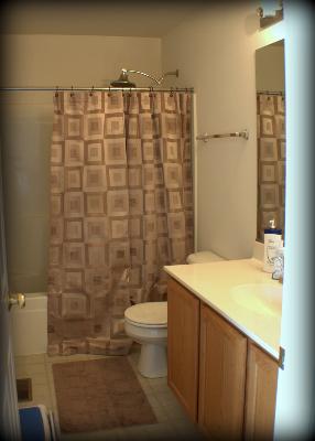 620 Declaration Lane, Unit 620 Aurora, IL 60502 - Photo 10 of 15