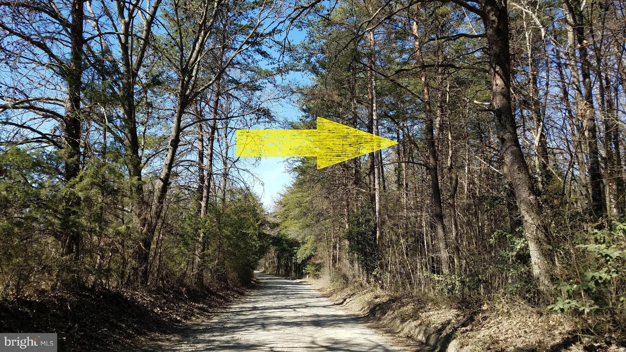 14401 Woolfolk Road Spotsylvania, VA 22551 - Photo 6 of 10 View