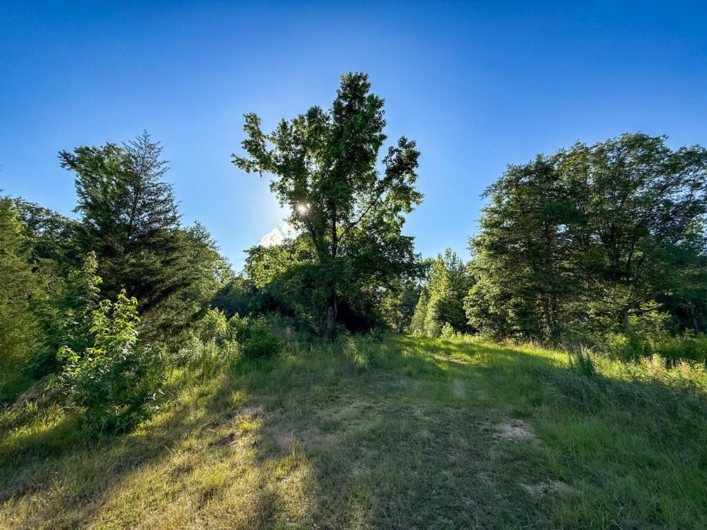 4088 Shell Oil Road Ruth, MS 39662 - Photo 1 of 19 Main View