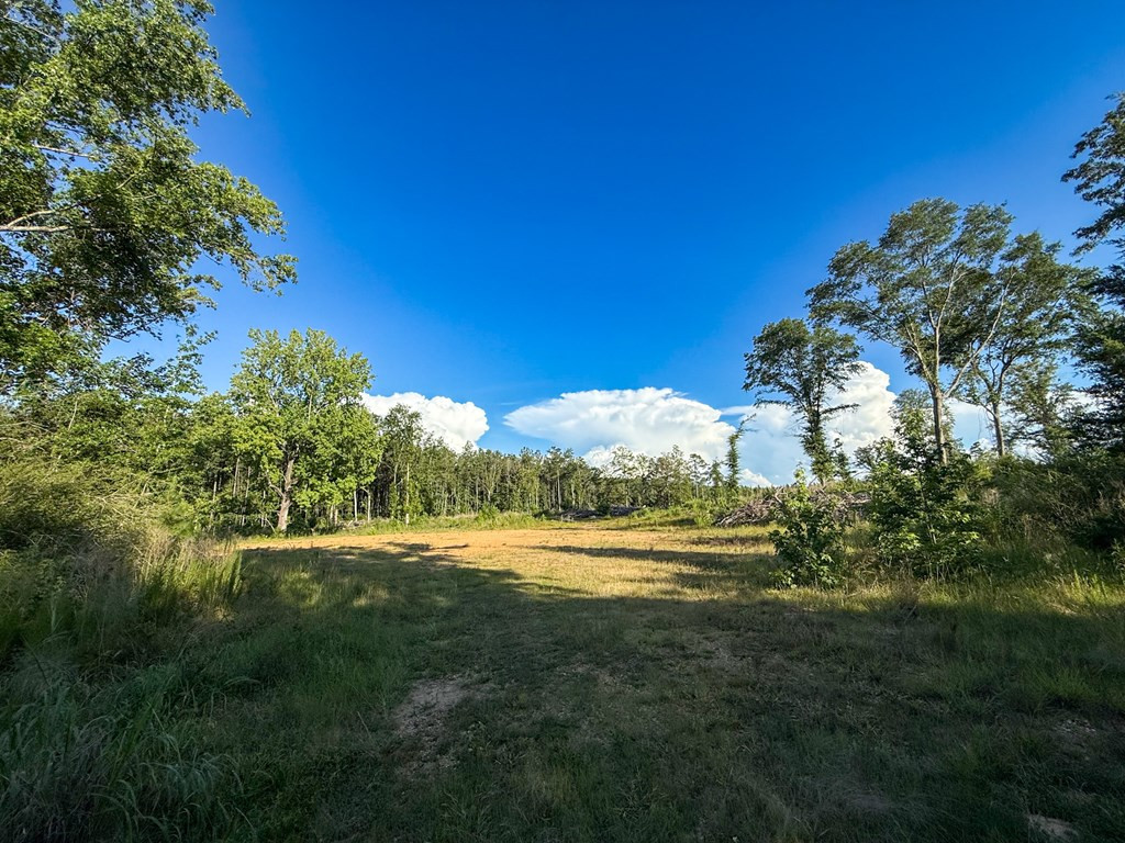 4088 Shell Oil Road Ruth, MS 39662 - Photo 11 of 19 Photo 11