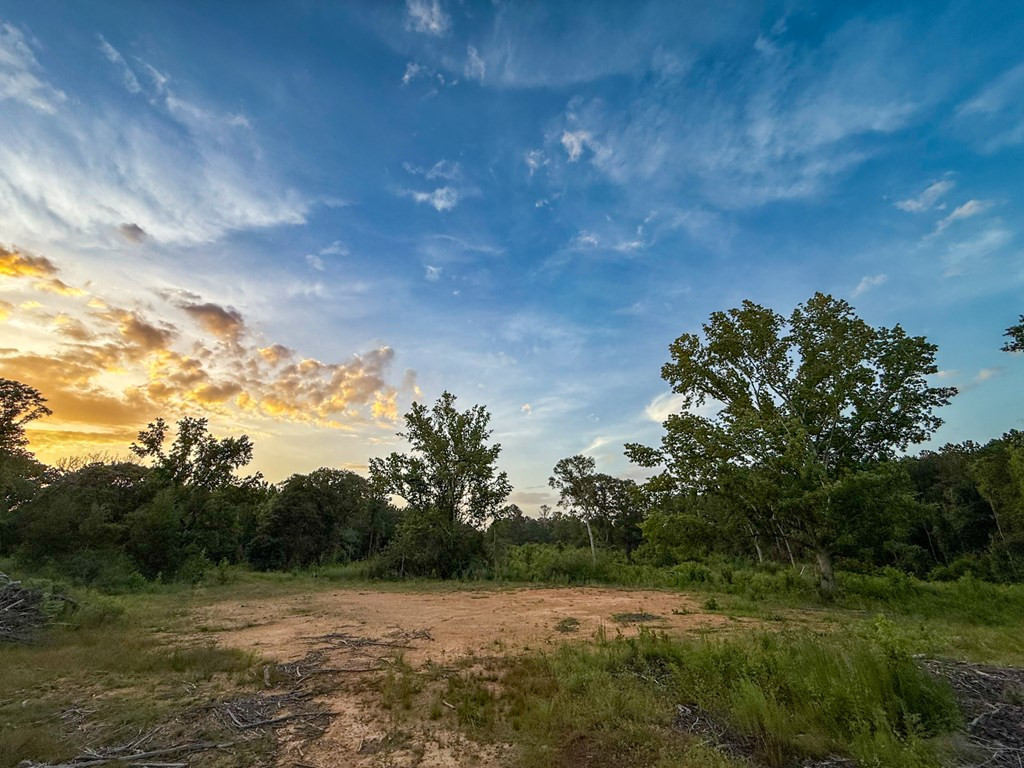 4088 Shell Oil Road Ruth, MS 39662 - Photo 14 of 19 Photo 14