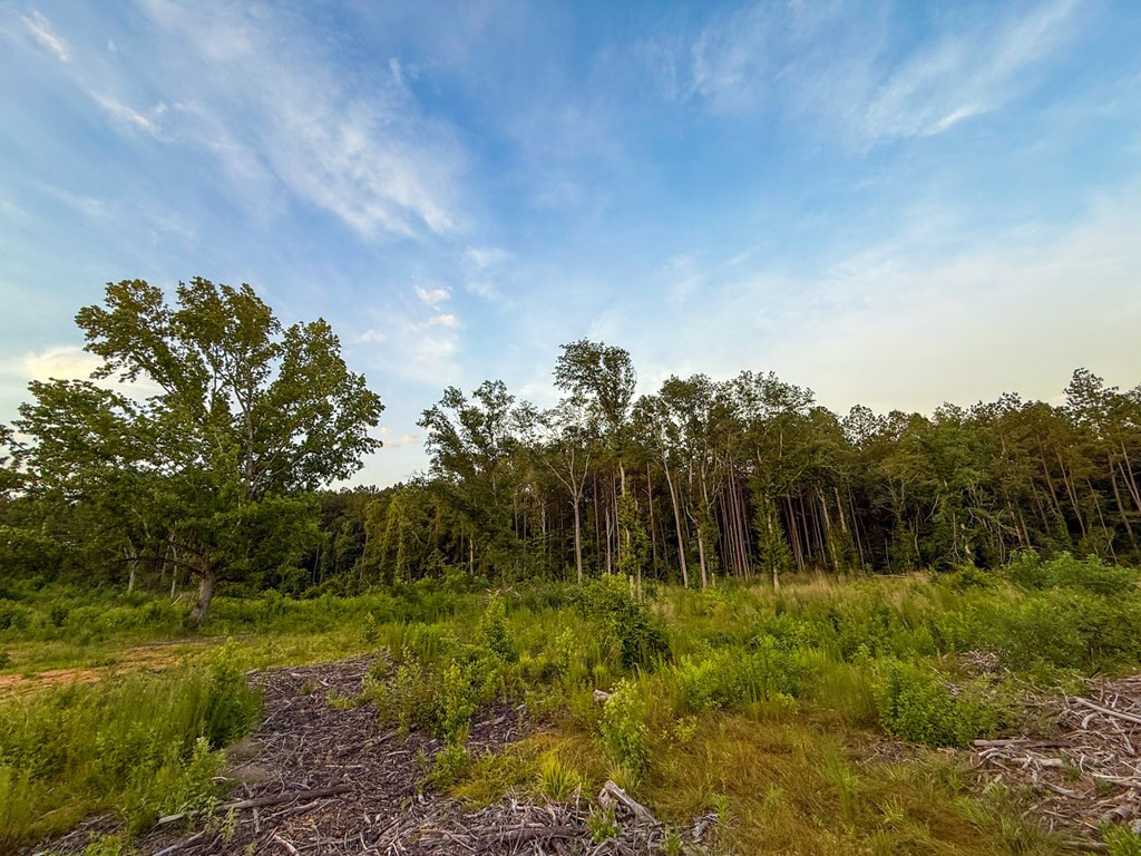 4088 Shell Oil Road Ruth, MS 39662 - Photo 15 of 19 Photo 15