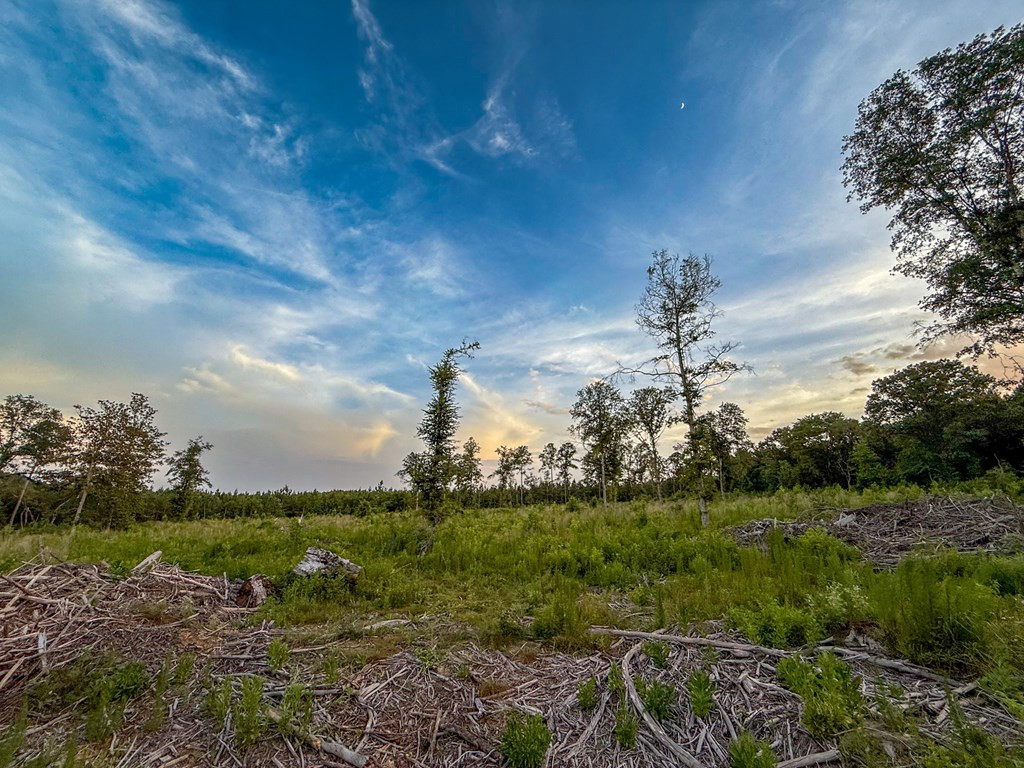4088 Shell Oil Road Ruth, MS 39662 - Photo 16 of 19 Photo 16