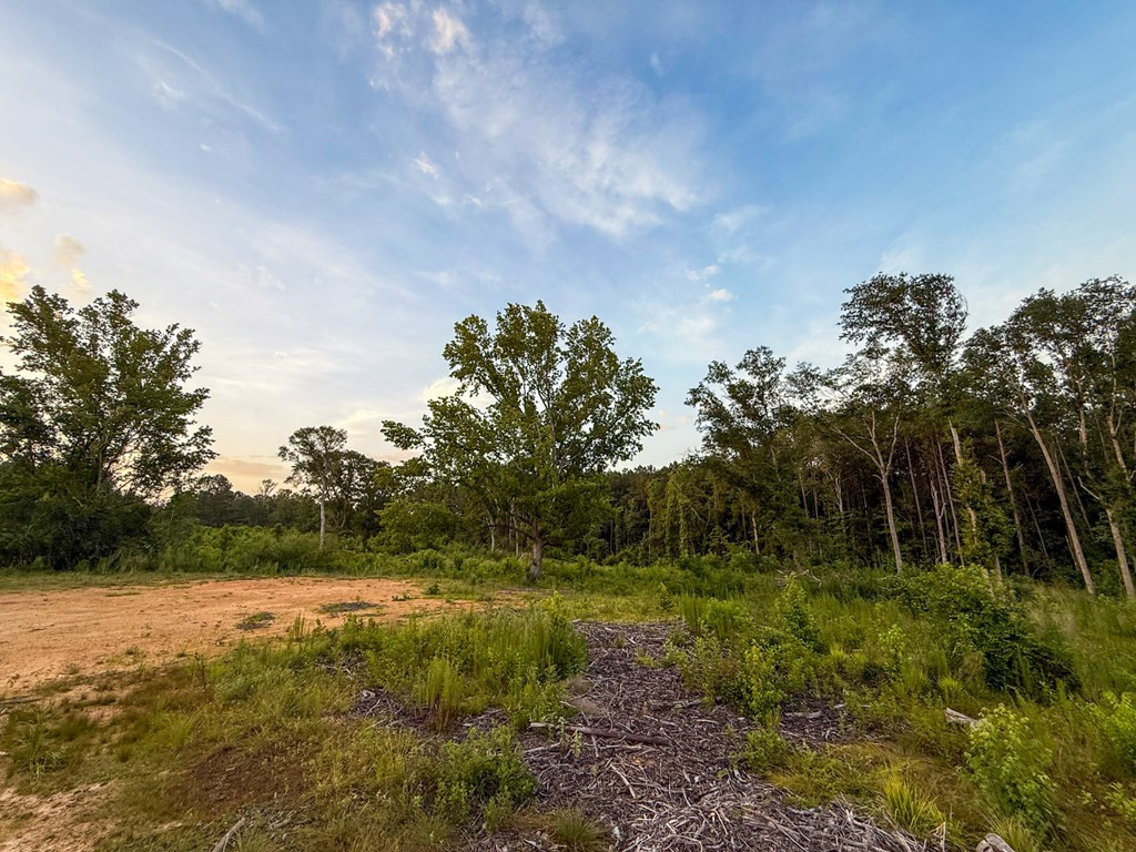 4088 Shell Oil Road Ruth, MS 39662 - Photo 18 of 19 Photo 18