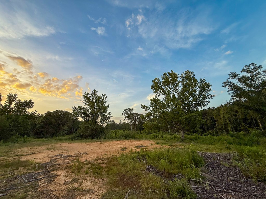 4088 Shell Oil Road Ruth, MS 39662 - Photo 19 of 19 Photo 19