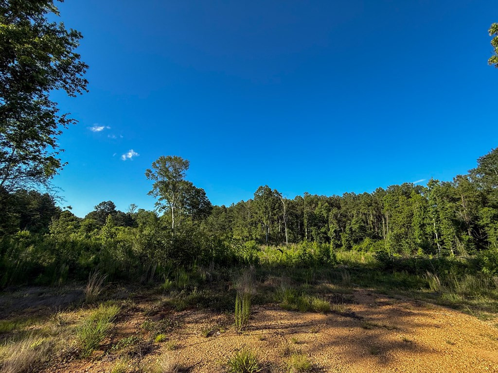 4088 Shell Oil Road Ruth, MS 39662 - Photo 2 of 19 Photo 2