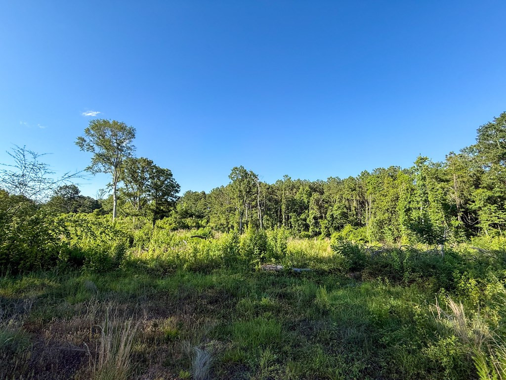 4088 Shell Oil Road Ruth, MS 39662 - Photo 3 of 19 Photo 3