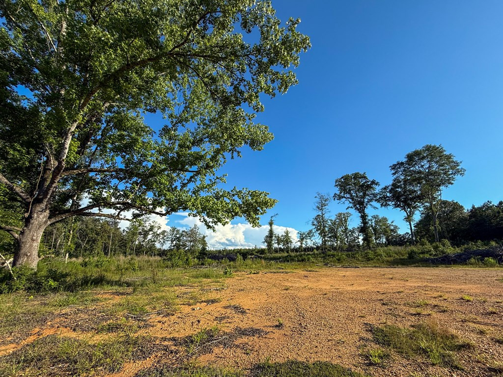 4088 Shell Oil Road Ruth, MS 39662 - Photo 4 of 19 Photo 4