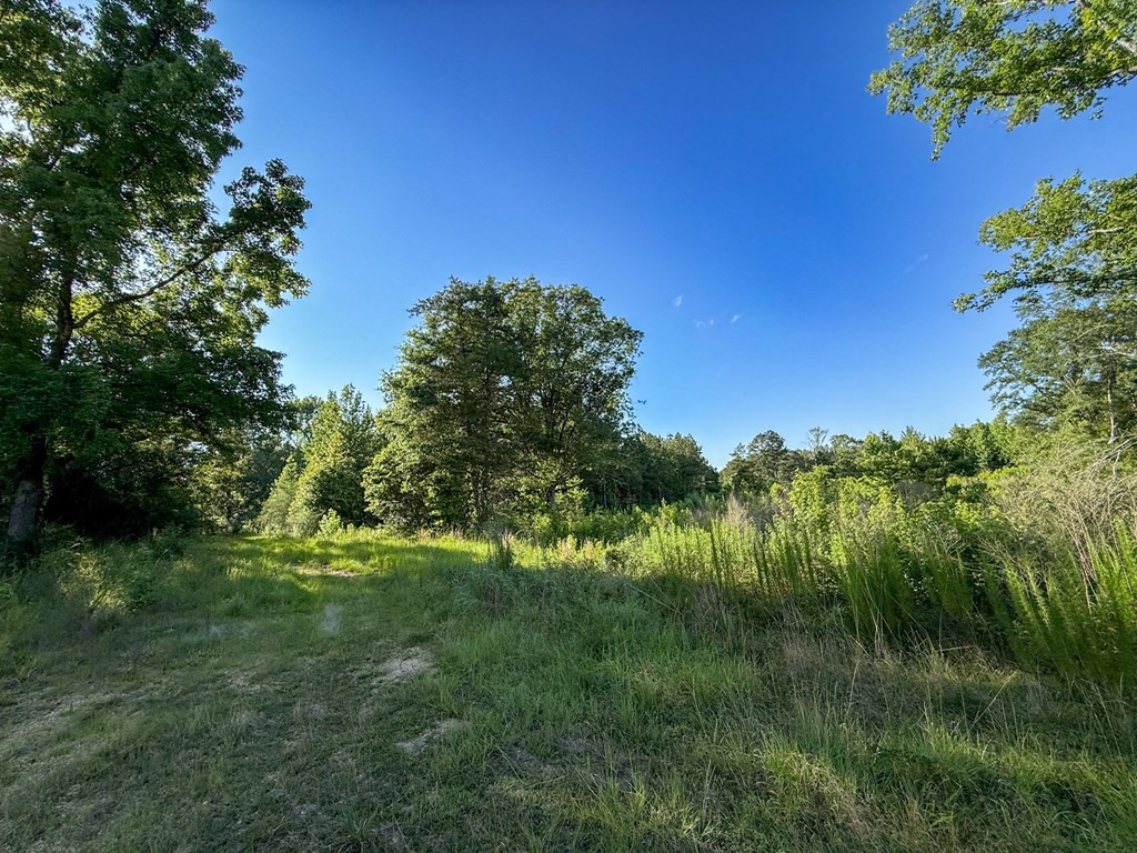 4088 Shell Oil Road Ruth, MS 39662 - Photo 7 of 19 Photo 7