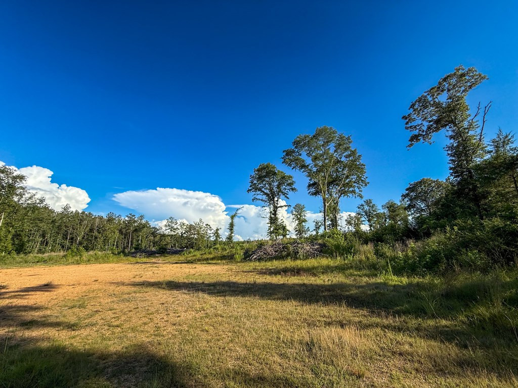 4088 Shell Oil Road Ruth, MS 39662 - Photo 8 of 19 Photo 8