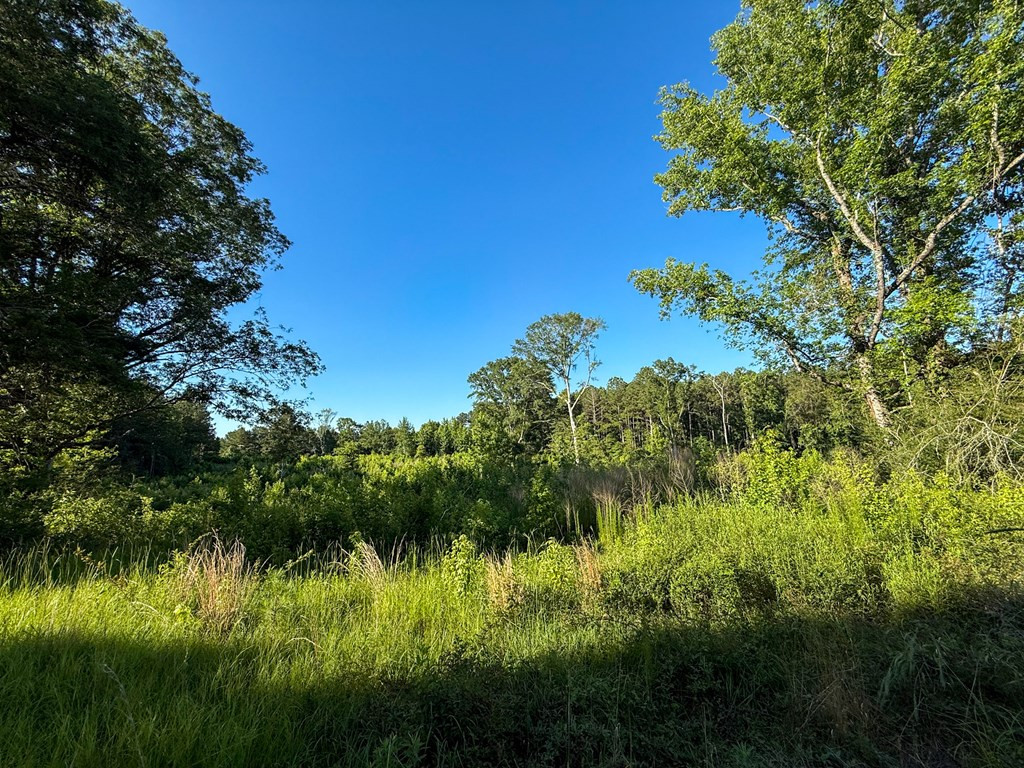 4088 Shell Oil Road Ruth, MS 39662 - Photo 10 of 19 Photo 10