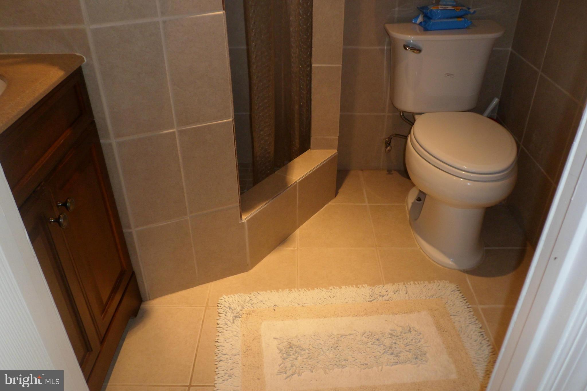 5215 Montgomery Street Springfield, VA 22151 - Photo 12 of 28 Bath (Master)
