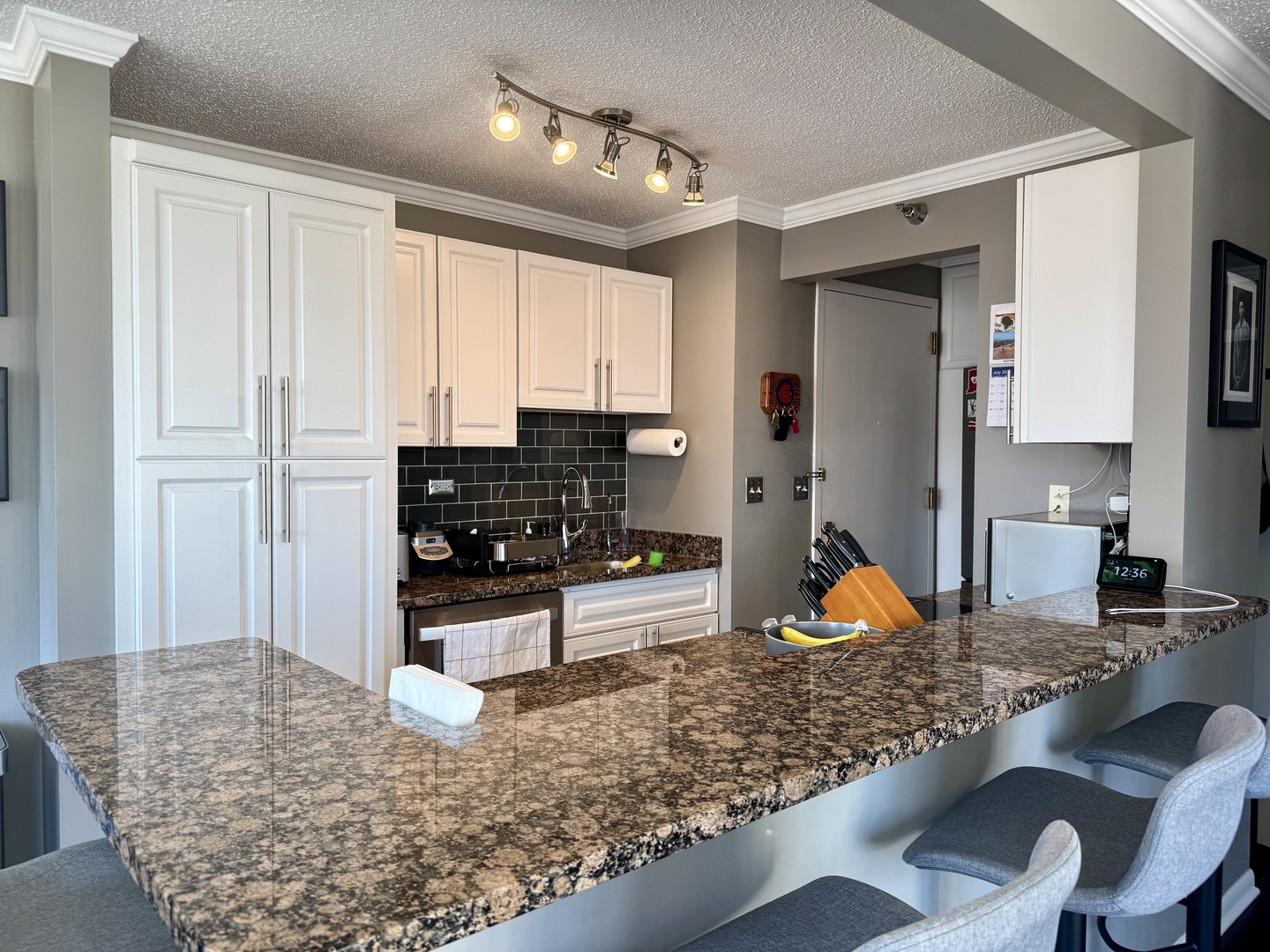 111 West Maple Street, Unit 1501 Chicago, IL 60610 - Photo 6 of 17
